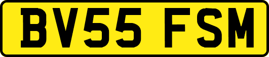 BV55FSM