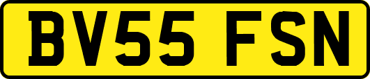 BV55FSN