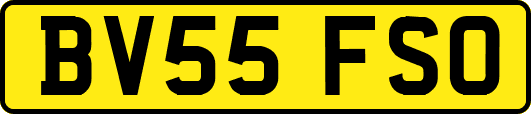 BV55FSO