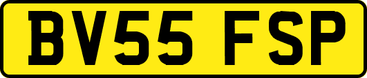 BV55FSP