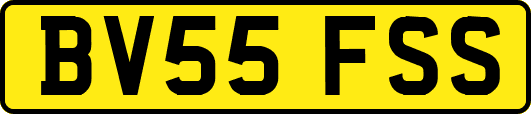 BV55FSS
