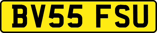 BV55FSU