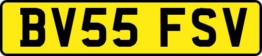 BV55FSV