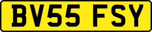 BV55FSY