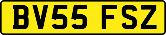 BV55FSZ