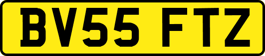 BV55FTZ