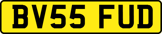 BV55FUD