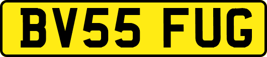 BV55FUG