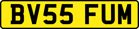 BV55FUM