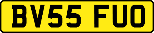 BV55FUO