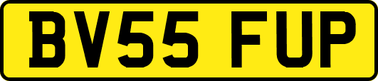 BV55FUP