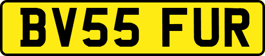 BV55FUR
