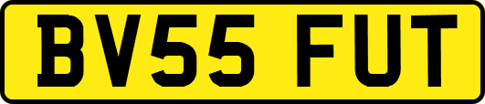 BV55FUT