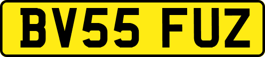 BV55FUZ