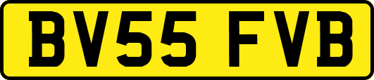 BV55FVB