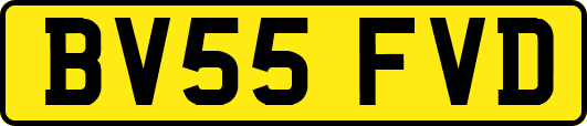 BV55FVD