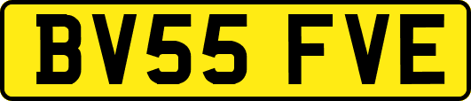 BV55FVE