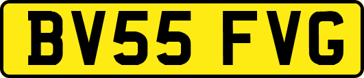 BV55FVG