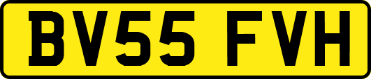 BV55FVH
