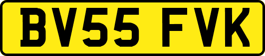 BV55FVK