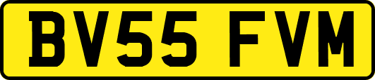 BV55FVM
