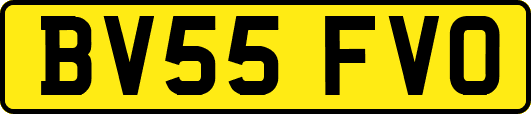 BV55FVO