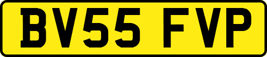 BV55FVP