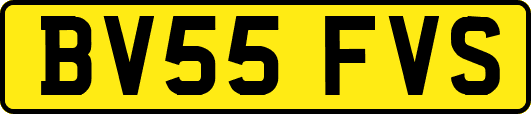BV55FVS