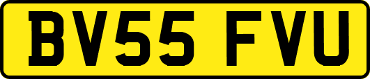 BV55FVU