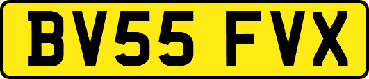 BV55FVX