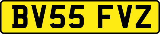 BV55FVZ