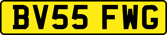 BV55FWG