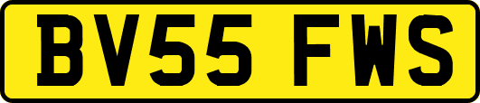BV55FWS