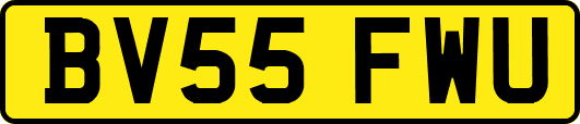 BV55FWU