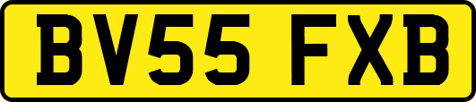 BV55FXB