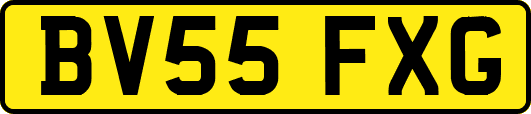 BV55FXG