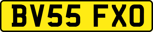 BV55FXO
