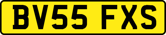 BV55FXS