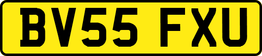 BV55FXU