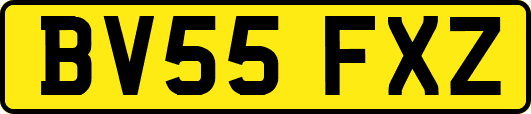 BV55FXZ