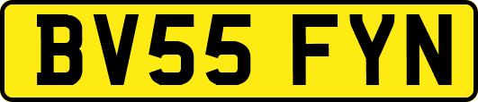 BV55FYN
