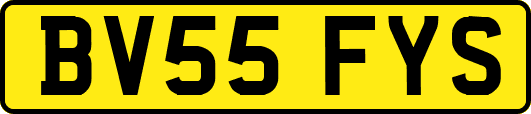BV55FYS