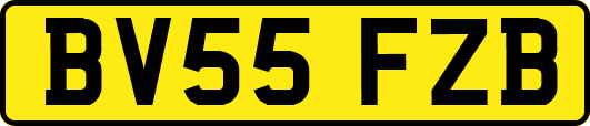 BV55FZB