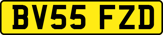 BV55FZD