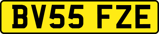 BV55FZE
