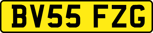 BV55FZG