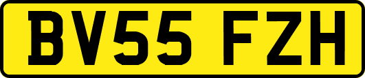 BV55FZH