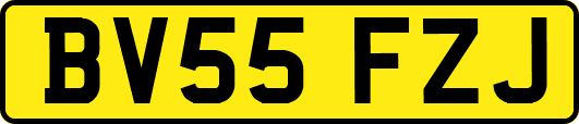 BV55FZJ