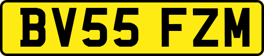BV55FZM