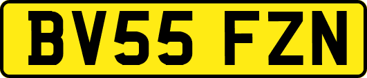 BV55FZN
